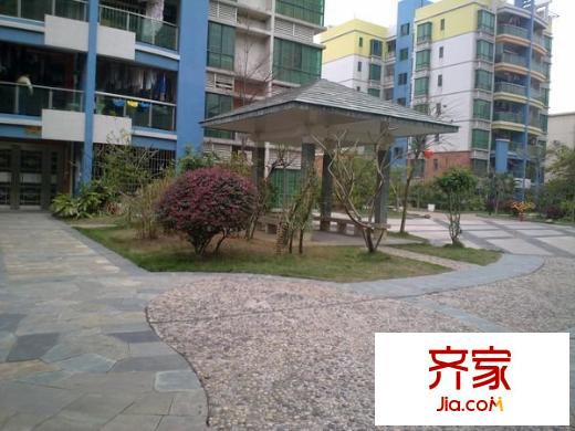 海琴軒外景圖 