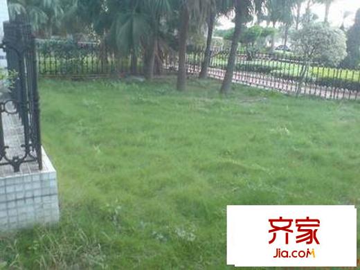順德碧桂園碧海名軒外景圖 