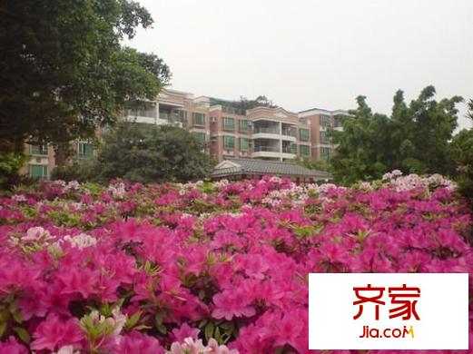 順德碧桂園西苑綠茵居外景圖