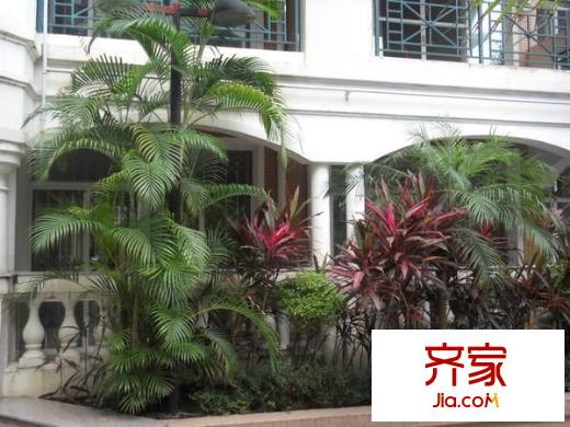 南國香格里拉花園外景圖 