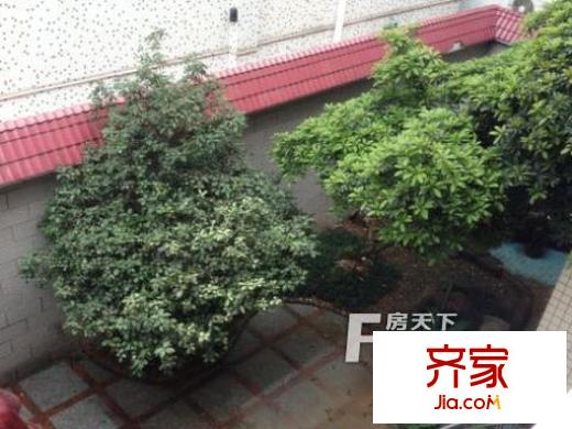 容桂單家獨(dú)戶外景圖