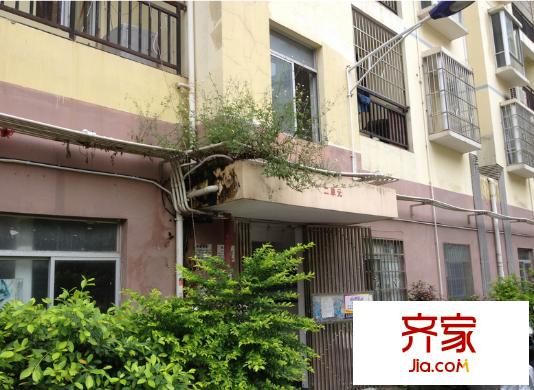 欖園外景圖03
