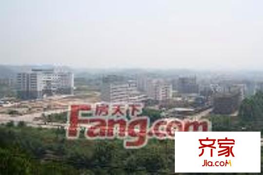 欖園外景圖