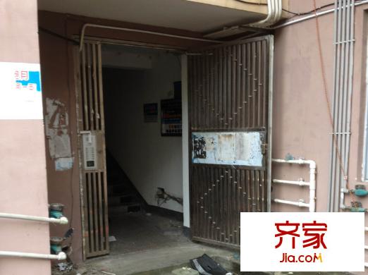 欖園外景圖04