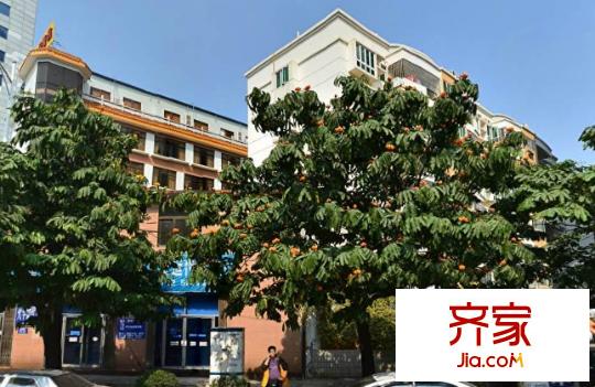 廣西外運(yùn)公司宿舍外景圖2