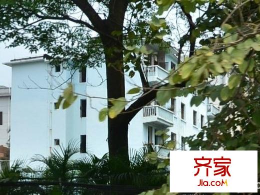 晶瑩樓小區(qū)外景圖