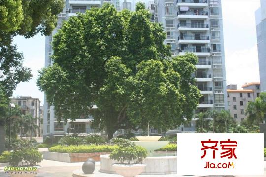 天賜花園外景圖 2