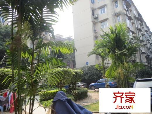 交通廳宿舍外景圖 
