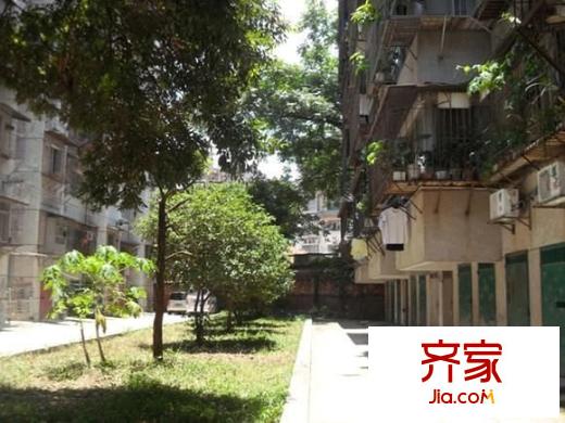 商業(yè)廳宿舍外景圖 