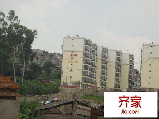 燕子嶺小區(qū)外景圖11
