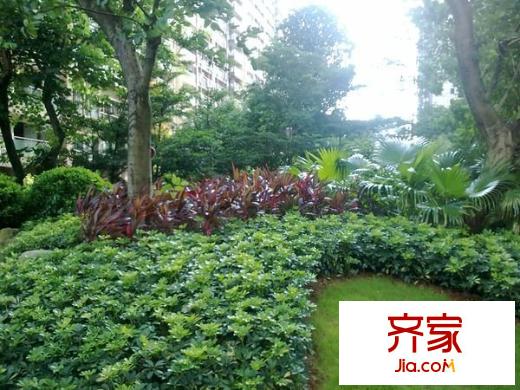 建政地礦局宿舍外景圖 