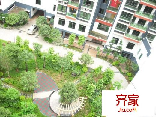 中新國際外景圖 