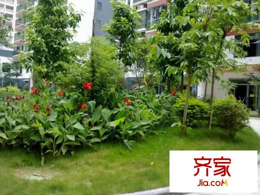 中新國際外景圖 
