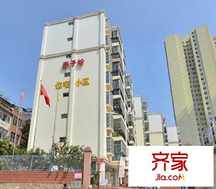 燕子嶺小區(qū)外景圖
