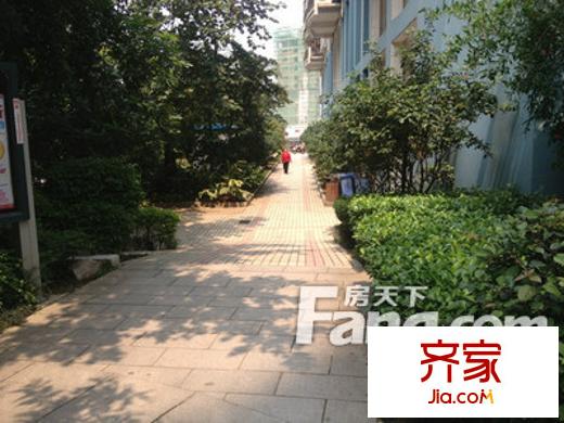 金朝陽(yáng)外景圖 