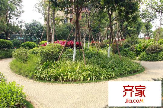 香樟林小區(qū)園林（2015.3.19）