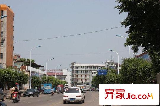 香樟林周邊