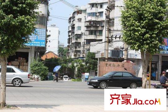 香樟林周邊