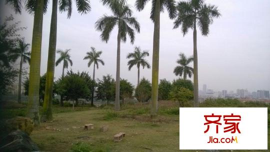 半島東岸別墅外景圖 