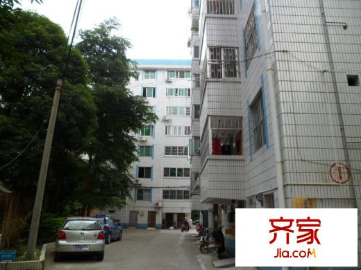 國營林場開發(fā)公司宿舍外景圖區(qū) 