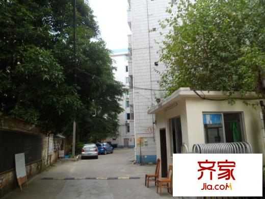 國營林場開發(fā)公司宿舍外景圖區(qū) 