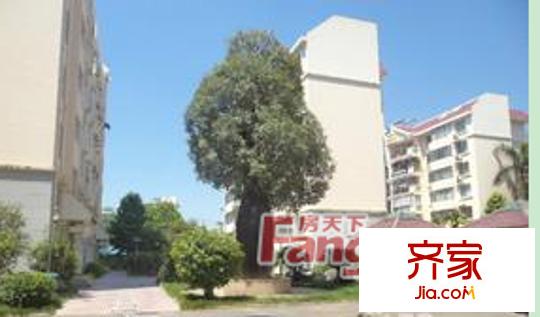 通邑苑外景圖5