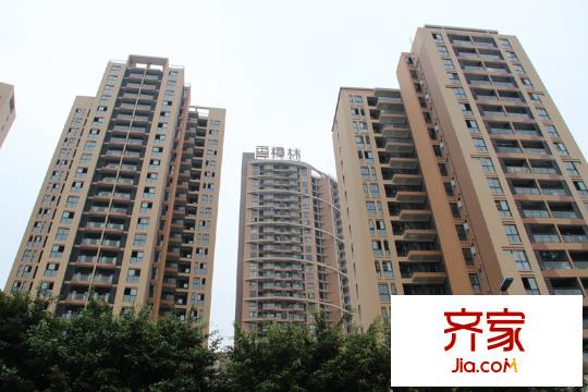香樟林小區(qū)實(shí)景（2013-09-26）