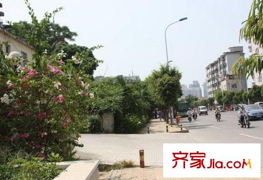 香樟林周邊