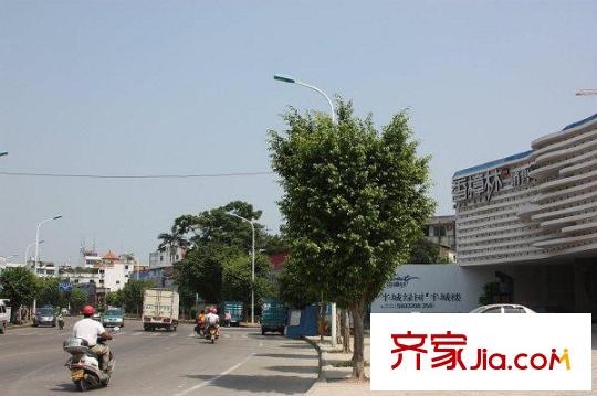香樟林周邊