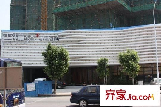 香樟林周邊