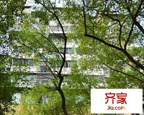 文華公苑外景圖3
