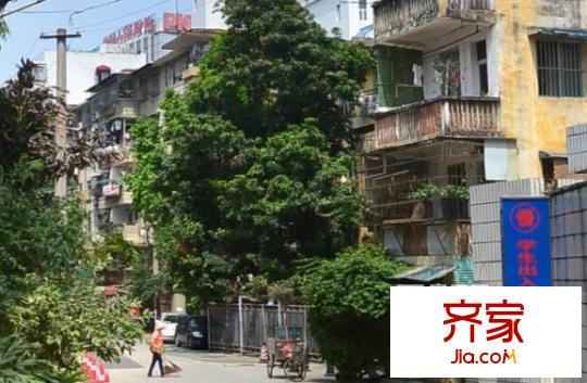 化纖研究所宿舍外景圖8