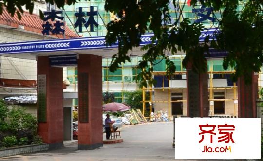 林業(yè)廳大院