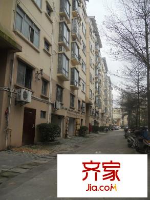 廣場麗園外景圖5