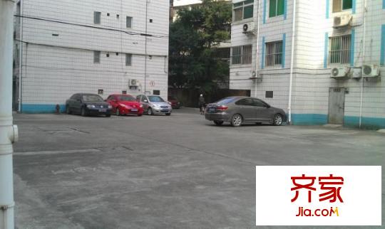 林業(yè)廳大院外景圖   5