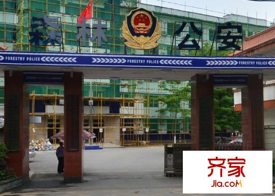 林業(yè)廳大院外景圖9