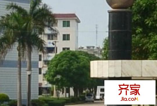 南寧仙葫開發(fā)區(qū)管委會外景圖3