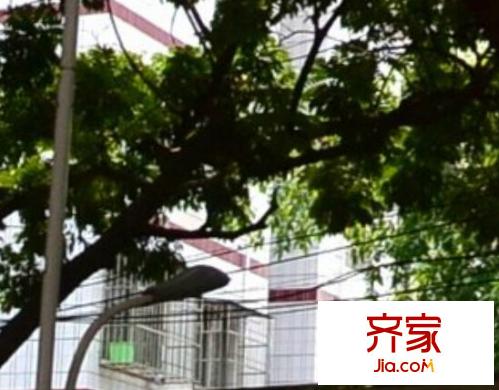 新民路電信單位大院外景圖6