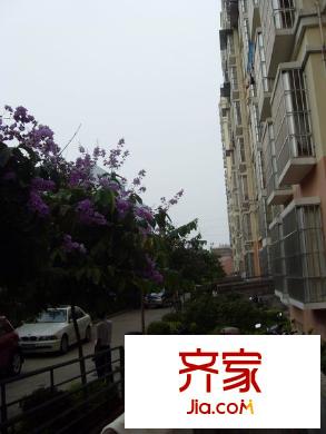 工人新村外景圖