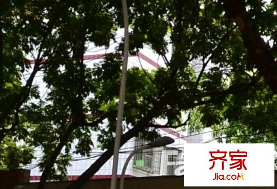 新民路電信單位大院外景圖7