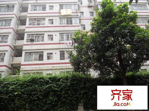 金湖路人保宿舍外景圖