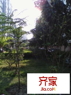 鑫龍小區(qū)外景圖 