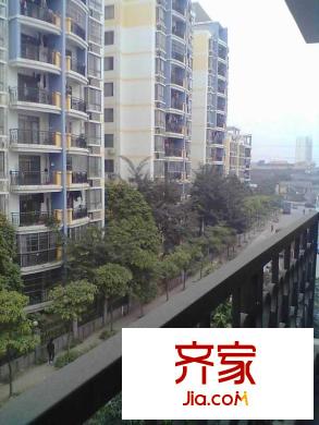 新秀佳園外景圖1