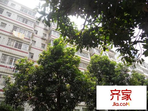 金湖路人保宿舍外景圖