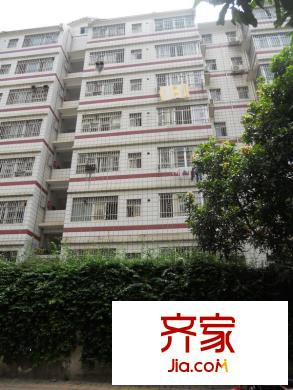 金湖路人保宿舍外景圖