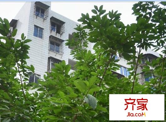 司法廳第一宿舍區(qū)外景圖