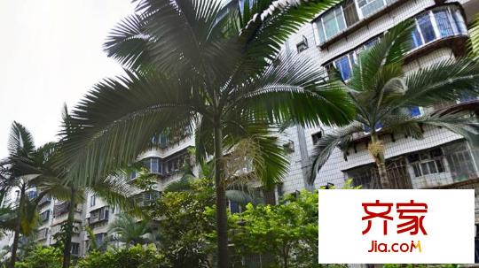 司法廳第一宿舍區(qū)外景圖4