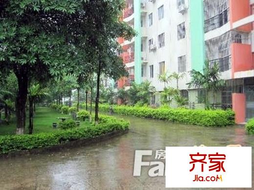 通業(yè)平安佳園外景圖4