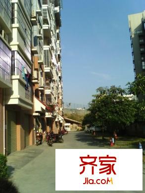 鑫龍小區(qū)外景圖 