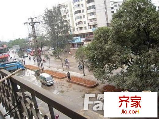 新秀佳園外景圖2